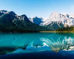 The Charms of Calgary with Bus Tours